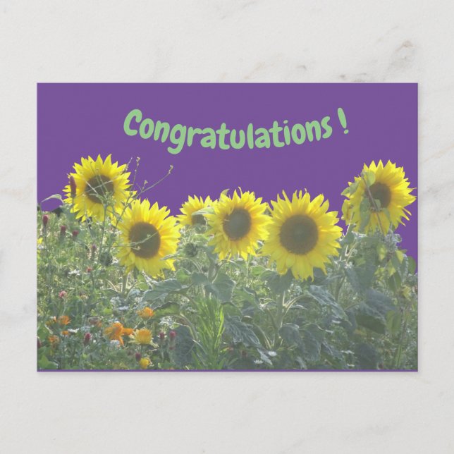 Postales de felicitaciones a los girasoles (Anverso)