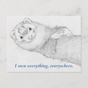 Postales de ferret - Pandora Owns