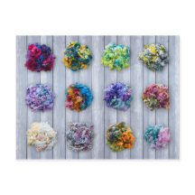 Postales de fibra tibia de Leicester Longwool