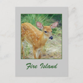 Postales de 'Fire Island Fawn'