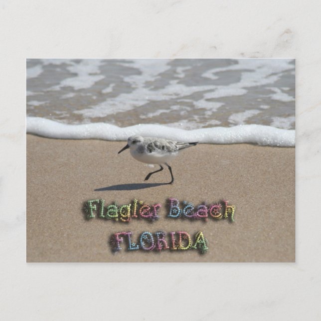 Postales de Flagler Beach (Anverso)
