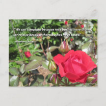 Postales de Flor Rosa Roja con presupuesto de Grat