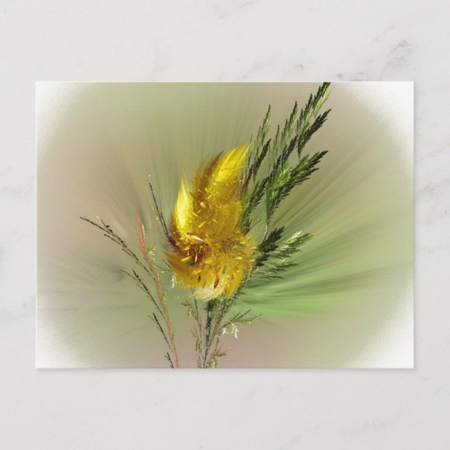 Postales de Flor Salvaje (Anverso)