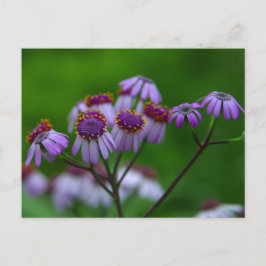 Postales de flores