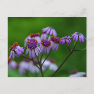 Postales de flores