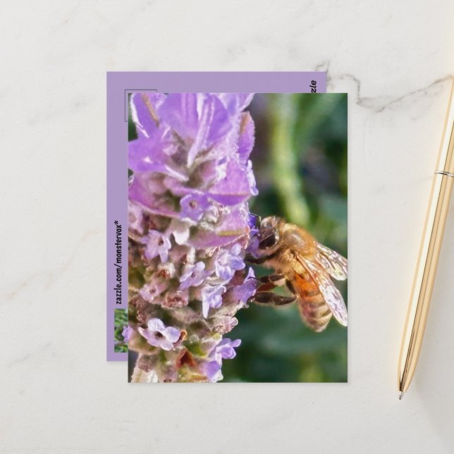 Postales de flores (Anverso/Reverso In Situ)