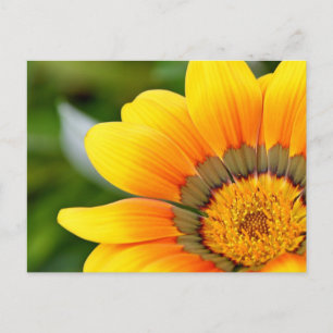 Postales de flores amarillas