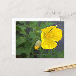 Postales de flores amarillas