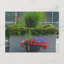 Postales de flores de 2013 para la exhibición de p