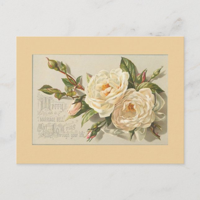 Postales de flores de época (Anverso)