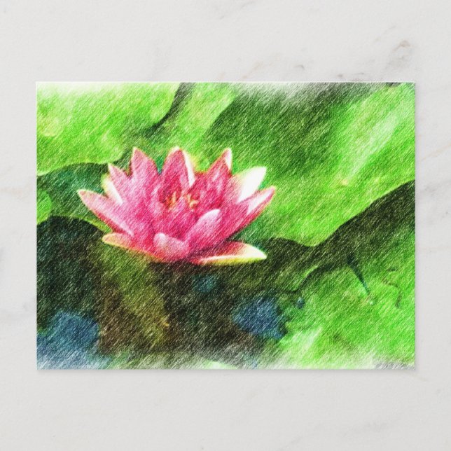 Postales de Flores de Lotus (Anverso)