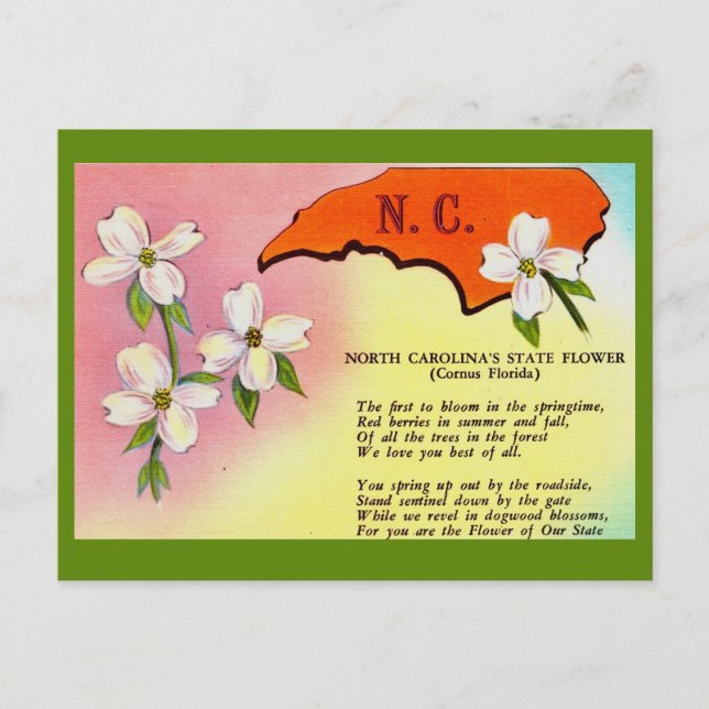 Postales de flores del estado de Carolina del Nort (Anverso)