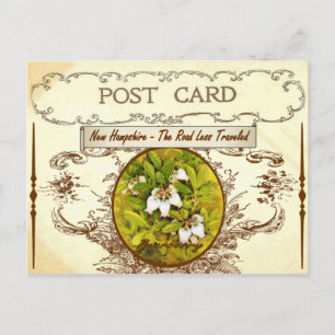 Postales de flores del estado de New Hampshire