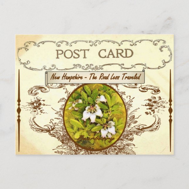 Postales de flores del estado de New Hampshire (Anverso)
