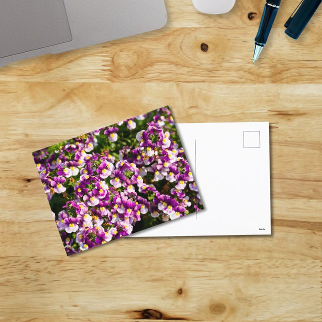 Postales de flores moradas de nemesia (Subido por el creador)