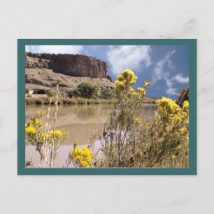 Postales de Flores Silvestres de Colorado