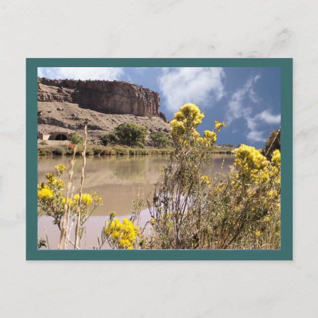 Postales de Flores Silvestres de Colorado (Anverso)