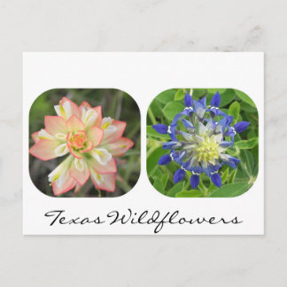 Postales de flores silvestres de Texas