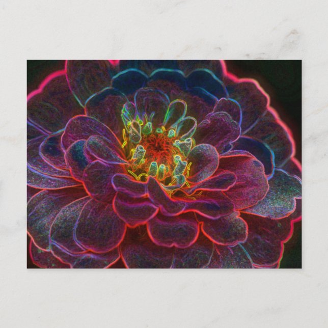 Postales de fotografía de flores de arte digital d (Anverso)
