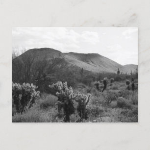 Postales de fotos de cacti del desierto saltando C