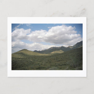 Postales de fotos del desierto de Arizona para Cow