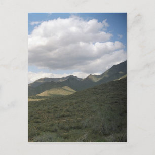 Postales de fotos del desierto de Arizona para Cow