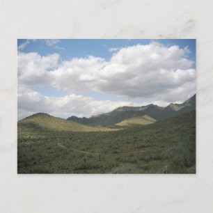 Postales de fotos del desierto de Arizona para Cow