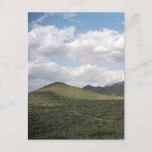 Postales de fotos del desierto de Arizona para Cow