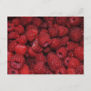 Postales de frambuesas rojas