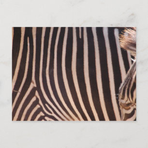 Postales de franjas abstractas