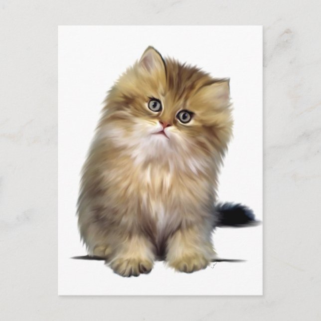Postales de gatitos preciosos (Anverso)