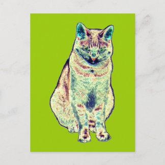 Postales de gato coloridas
