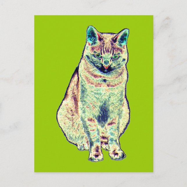 Postales de gato coloridas (Anverso)