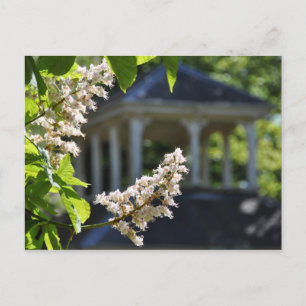 Postales de 'Gazebo'