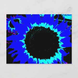 Postales de girasol azul pardo y manso