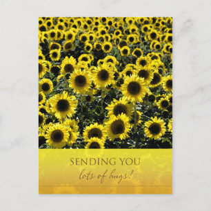 Postales de girasoles / Te mandan muchos abrazos
