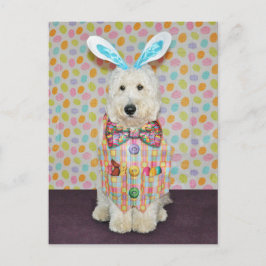 Postales de Goldendoodle Easter