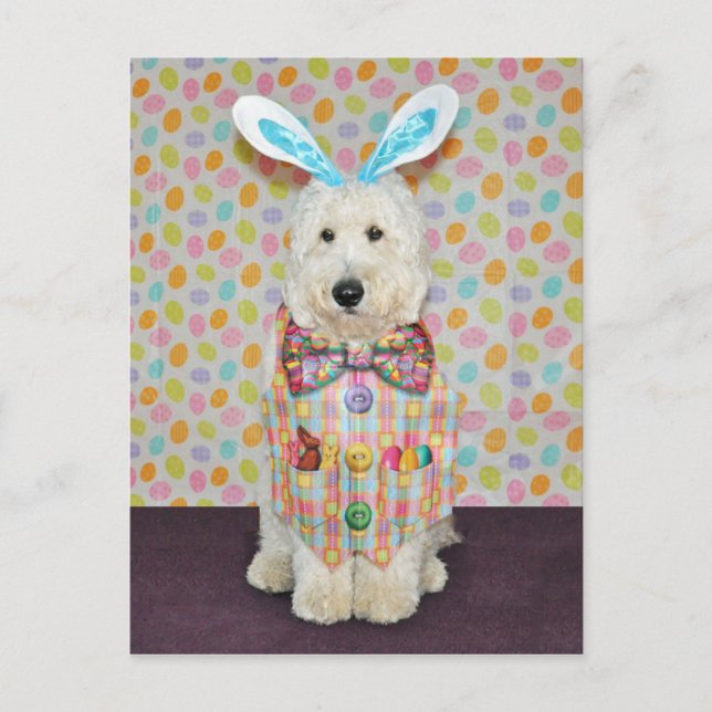 Postales de Goldendoodle Easter (Anverso)
