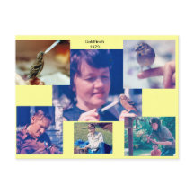 Postales de Goldfinch Story 1973