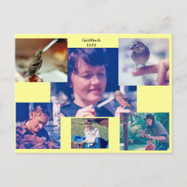 Postales de Goldfinch Story 1973