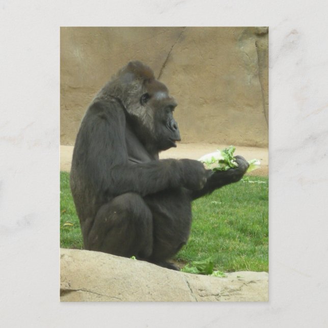 Postales de Gorrilla (Anverso)