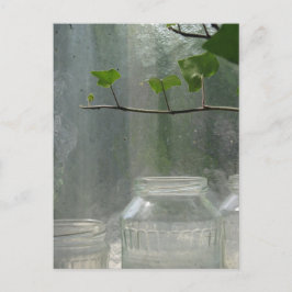 Postales de Greenhouse
