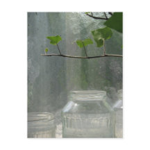 Postales de Greenhouse
