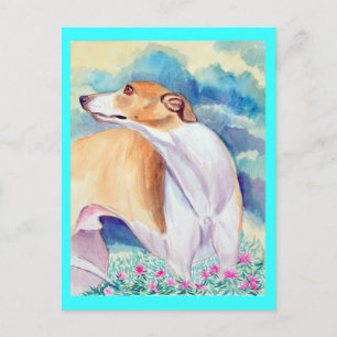 Postales de Greyhound