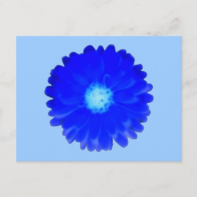 Postales de Guay Blue Marigold (Anverso)