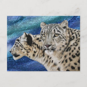 Postales de Hábitat de Leopardo de la Nieve