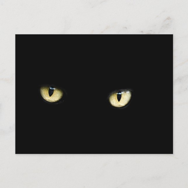 Postales de Halloween Black Cat Eyes (Anverso)