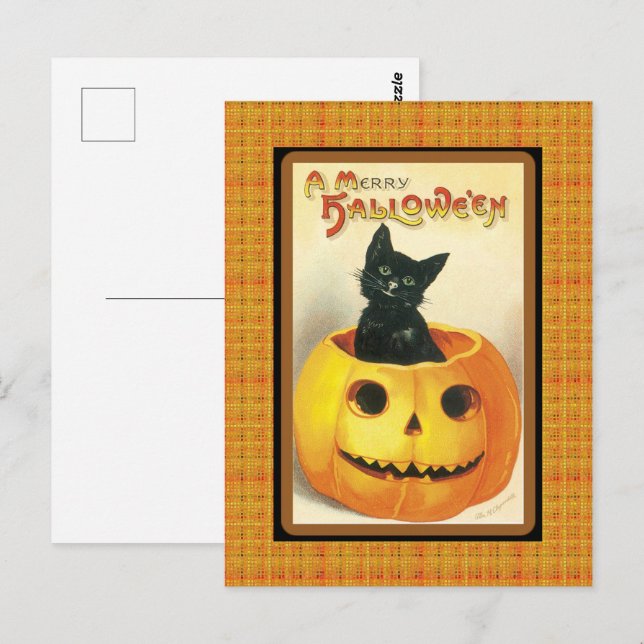 Postales de Halloween de la Calabaza de Gato Negro (Anverso / Reverso)