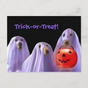 Postales de Halloween para perros fantasma trucos 