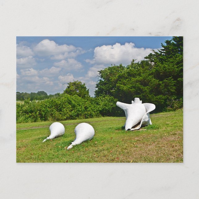 Postales de Hammonasset (Anverso)